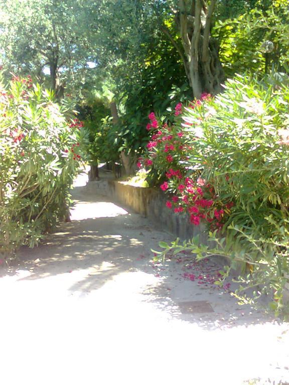 La Fusarella Villa Santoro Vico Equense Buitenkant foto