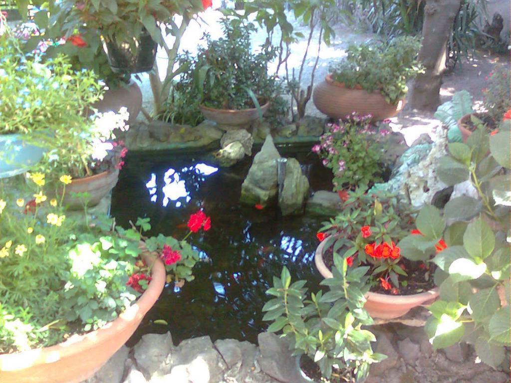 La Fusarella Villa Santoro Vico Equense Buitenkant foto