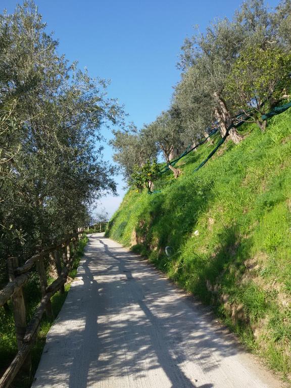 La Fusarella Villa Santoro Vico Equense Buitenkant foto